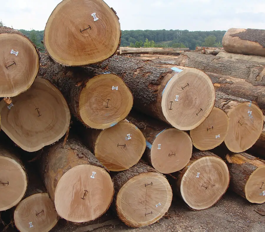 Veneer Logs